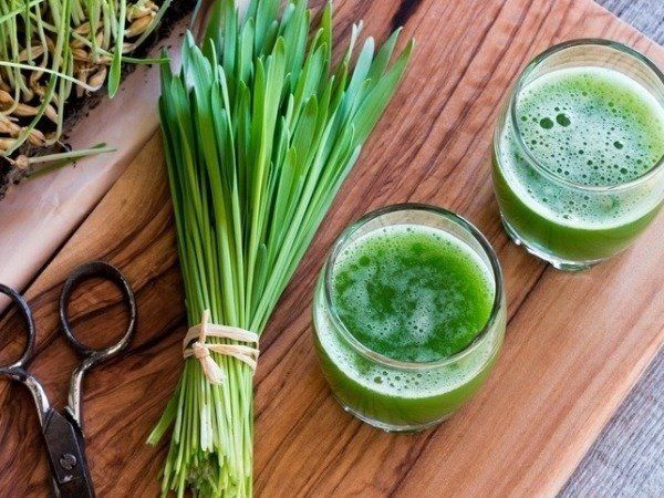 Health benefits of Wheat grass jowar juice